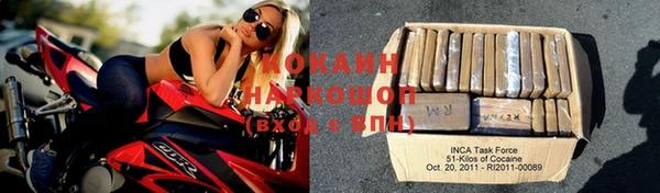 индика Мегион