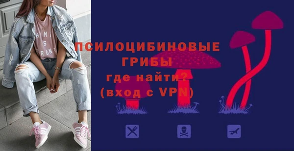 хмурый Алексин