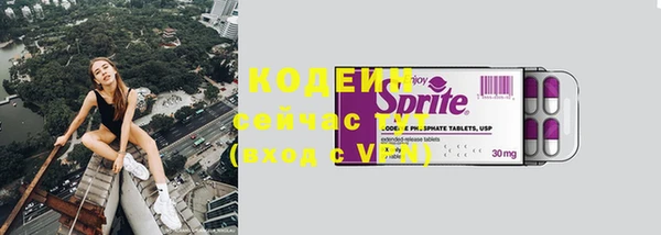 индика Мегион