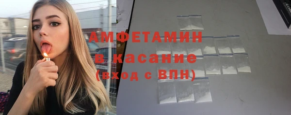 хмурый Алексин