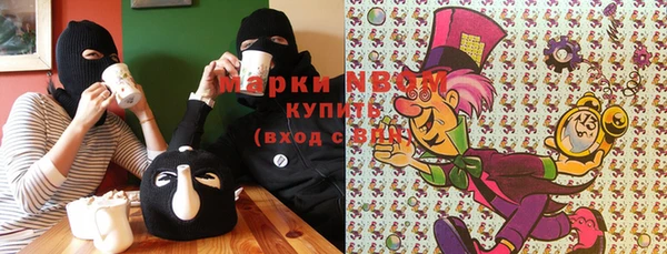 индика Мегион