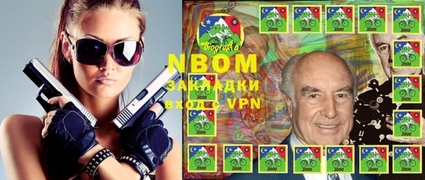 хмурый Алексин