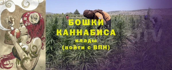 индика Мегион