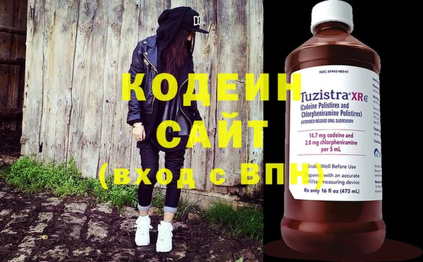 хмурый Алексин