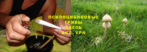 хмурый Алексин