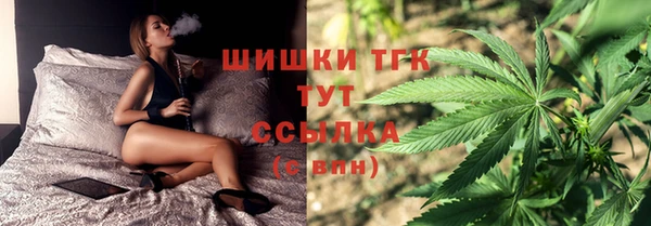 индика Мегион
