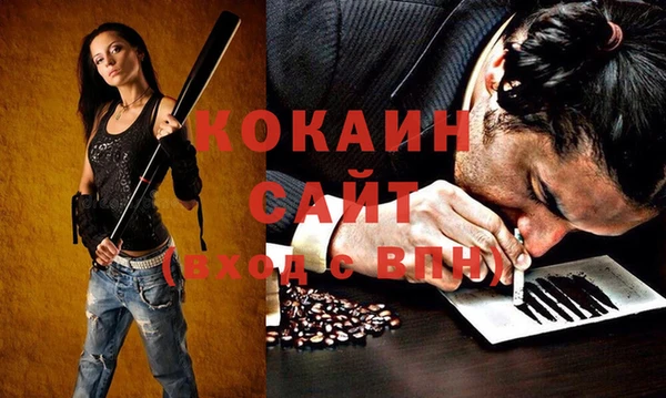 индика Алексеевка