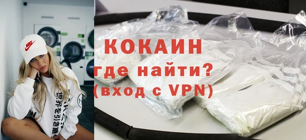 индика Мегион