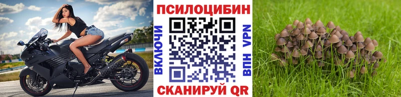 Псилоцибиновые грибы ЛСД  дарнет шоп  Невинномысск 